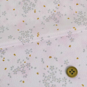 ߂񐶒n x Wڂɋ (sN) 10cmP ؂蔄