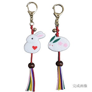 ̃L[z_[ 2Zbg(B^Cv)