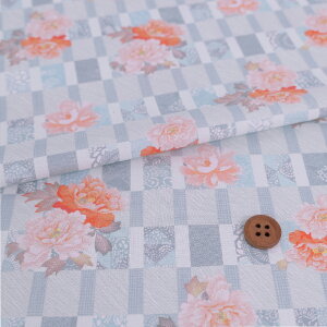 aRbgn ςiqɉO(Cgu[) 10cmP ؂蔄