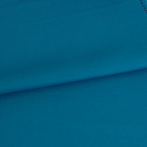 ȖLoXn echino (^[RCY) 10cmP ؂蔄