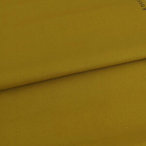 ȖLoXn echino (}X^[h) 10cmP ؂蔄