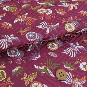 En() ₪nɖPƉ() 10cmP ؂蔄