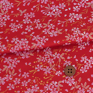 En() Ԃ̕() 10cmP ؂蔄