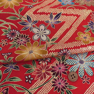 z߂ ̈Ȃ̂ɉԂƒ() 10cmP ؂蔄