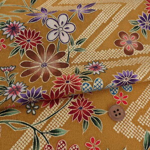 z߂ ̈Ȃ̂ɉԂƒ() 10cmP ؂蔄