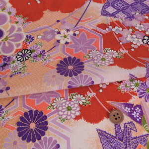 z߂񐶒n ܒߌÓTl(g/) 10cmP ؂蔄