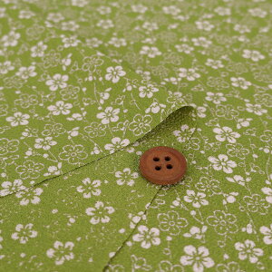 |߂񐶒n ~(O[) 10cmP ؂蔄