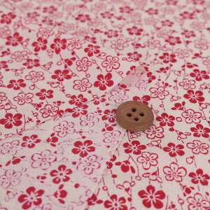 |߂񐶒n ~(AC{[/) 10cmP ؂蔄