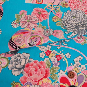 [ 䏊ԂɉԐ() 10cmP ؂蔄