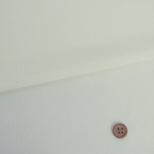 n|GXe߂(Ȃ) 10cmP ؂蔄