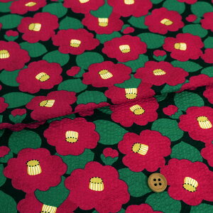 bvn ΂() 10cmP ؂蔄