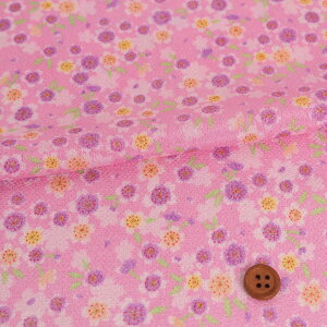 ߂񐶒n Ƃ߂(sN) 10cmP ؂蔄