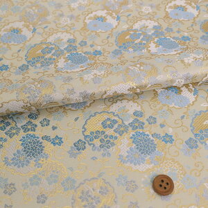 En() dːւɓԐs(/F) 10cmP ؂蔄