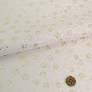 En() ^X() 10cmP ؂蔄