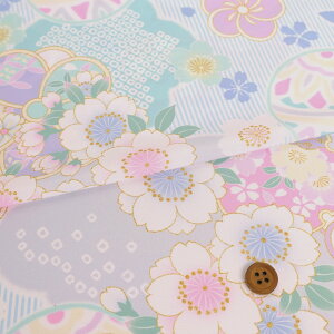 p􂦂鐶n ȂɎ܂ƍ~(F) 10cmP ؂蔄