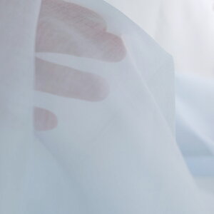 RbgI[KW[nEn(ACXu[) 10cmP ؂蔄