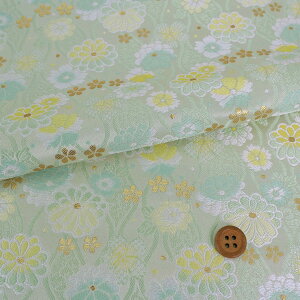 En() Ă킭ɋe(~g/) 10cmP ؂蔄