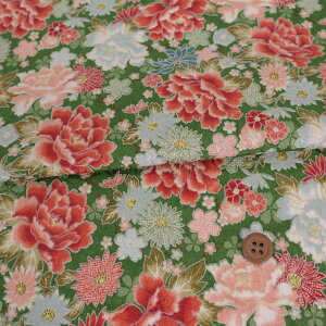 |WK[h߂񐶒n OÂ()10cmP ؂蔄