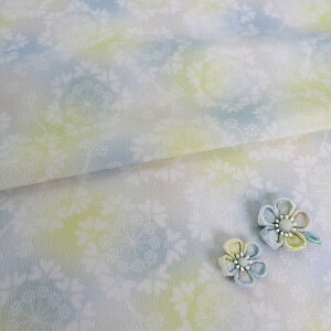 Ez߂ IA[Xڂ(ڂ댎) 10cmP ؂蔄