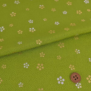 ߂񐶒n x ~ () 10cmP ؂蔄