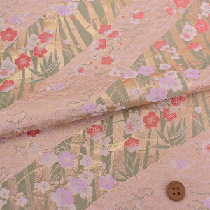 En() |~̉(sNx[W) 10cmP ؂蔄