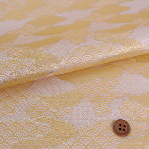 En() x _Cg(F) 10cmP ؂蔄