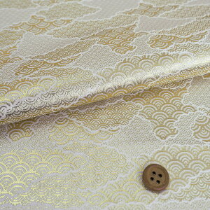 En() _Cg(/) 10cmP ؂蔄