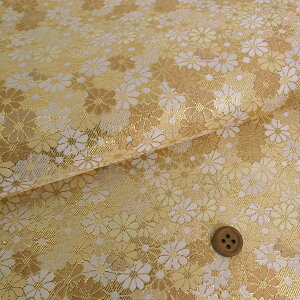 En() êイ(S[hx[W) 10cmP ؂蔄