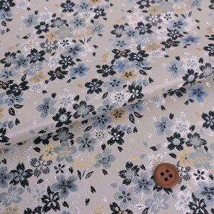 En() (CgO[/F) 10cmP ؂蔄