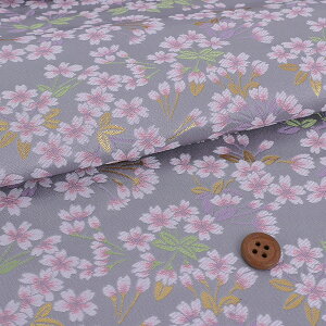 En() Ԃ̂(˂) 10cmP ؂蔄