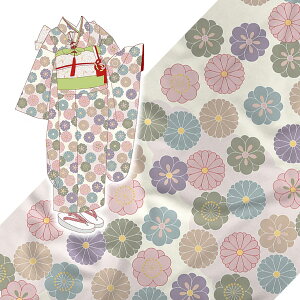 p􂦂鐶n e~(݃J[) 1(12m)