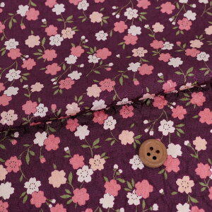 |WK[h߂񐶒n ȏ([)10cmP ؂蔄