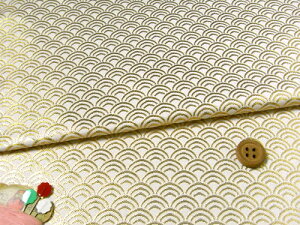 En()Cg(/) 10cmP ؂蔄