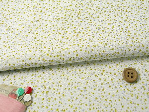 ߂񐶒nE₠() 10cmP ؂蔄