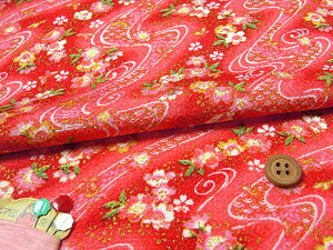 ߂񐶒nE点񗬐ɉԂƒ() 10cmP ؂蔄