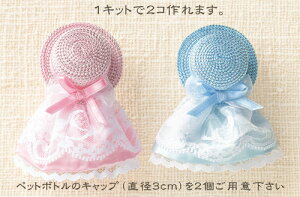 LbgEybg{g̃LbvōGRnbg u[`h[i^bN[EsN×Fj