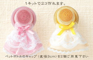 LbgEybg{g̃LbvōGRnbg u[`h[i^bN[EsN×Fj