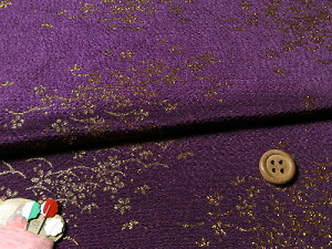 ߂񐶒nEIłɍ() 10cmP ؂蔄