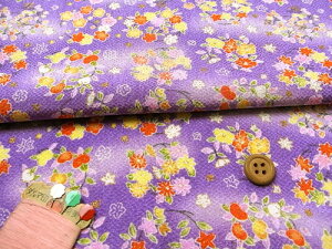 ߂񐶒nEԂ̗(F) 10cmP ؂蔄