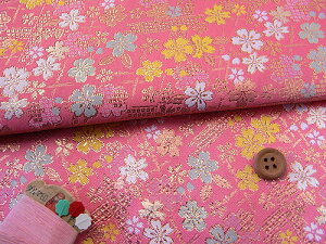 En()|_ɍ(sN) 10cmP ؂蔄