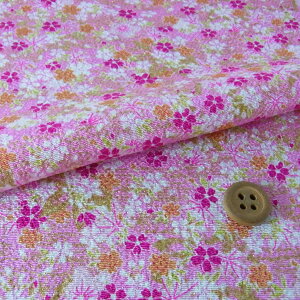 ߂񐶒nEtƏH̉ԌiF(sN) 10cmP ؂蔄