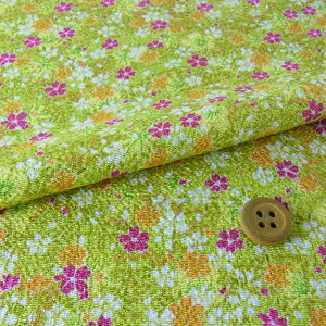 ߂񐶒nEtƏH̉ԌiF() 10cmP ؂蔄