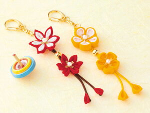 LbgEâ܂ݍ׍HL[z_[i/Rj