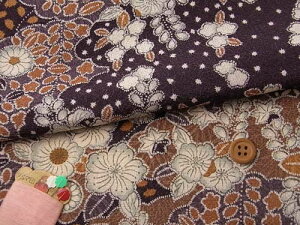 ߂񐶒nE҂ԒaԖ͗l([) 10cmP ؂蔄