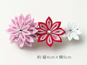 LbgE炫܂ݍ׍H ob^isNj