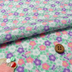 ߂񐶒nEʔ~(F)yzIWiz 10cmP ؂蔄