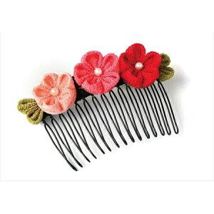 ܂ݍ׍HLbgEԂ11/~̃wAR[iۂ܂݁j