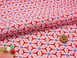 ߂񐶒nE̗t̖؋() 10cmP ؂蔄