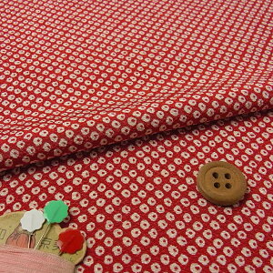 |߂񐶒nEDcڂ蕿() 10cmP ؂蔄