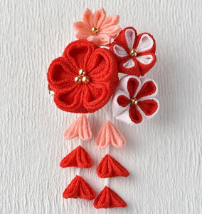 ܂ݍ׍HLbgEʉԃu[`iԁj